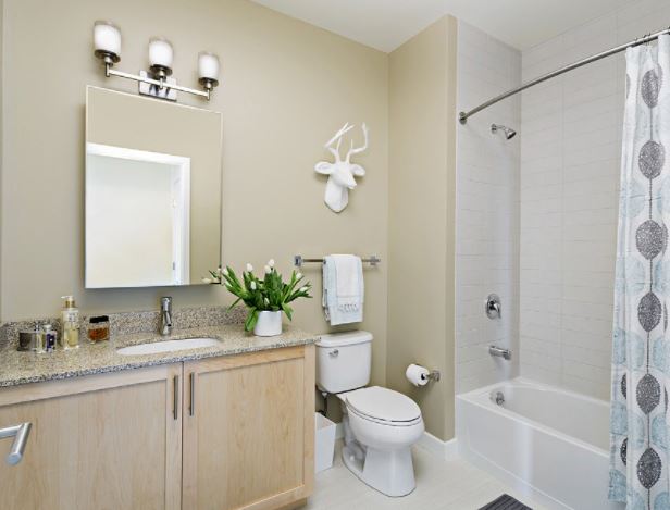 411 D St, South Boston