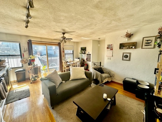 8 Harris St, North End