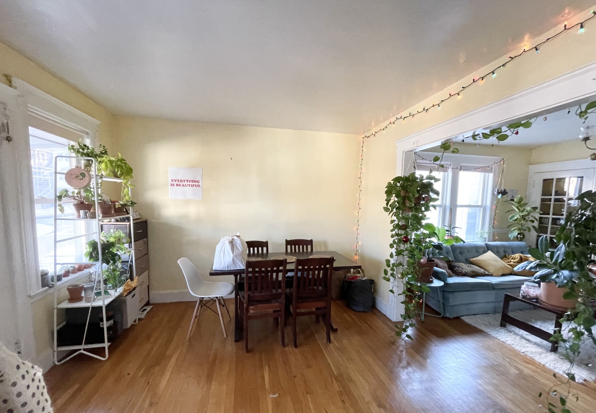 6 Mission St, Mission Hill