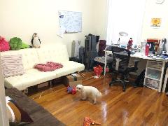 1203 Boylston St, Fenway