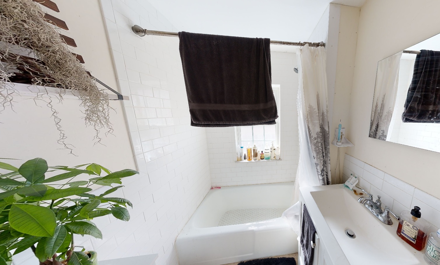 38 Gibson St, West Cambridge