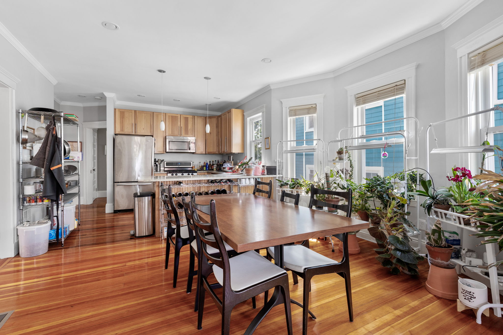 77 Montebello Rd, Jamaica Plain