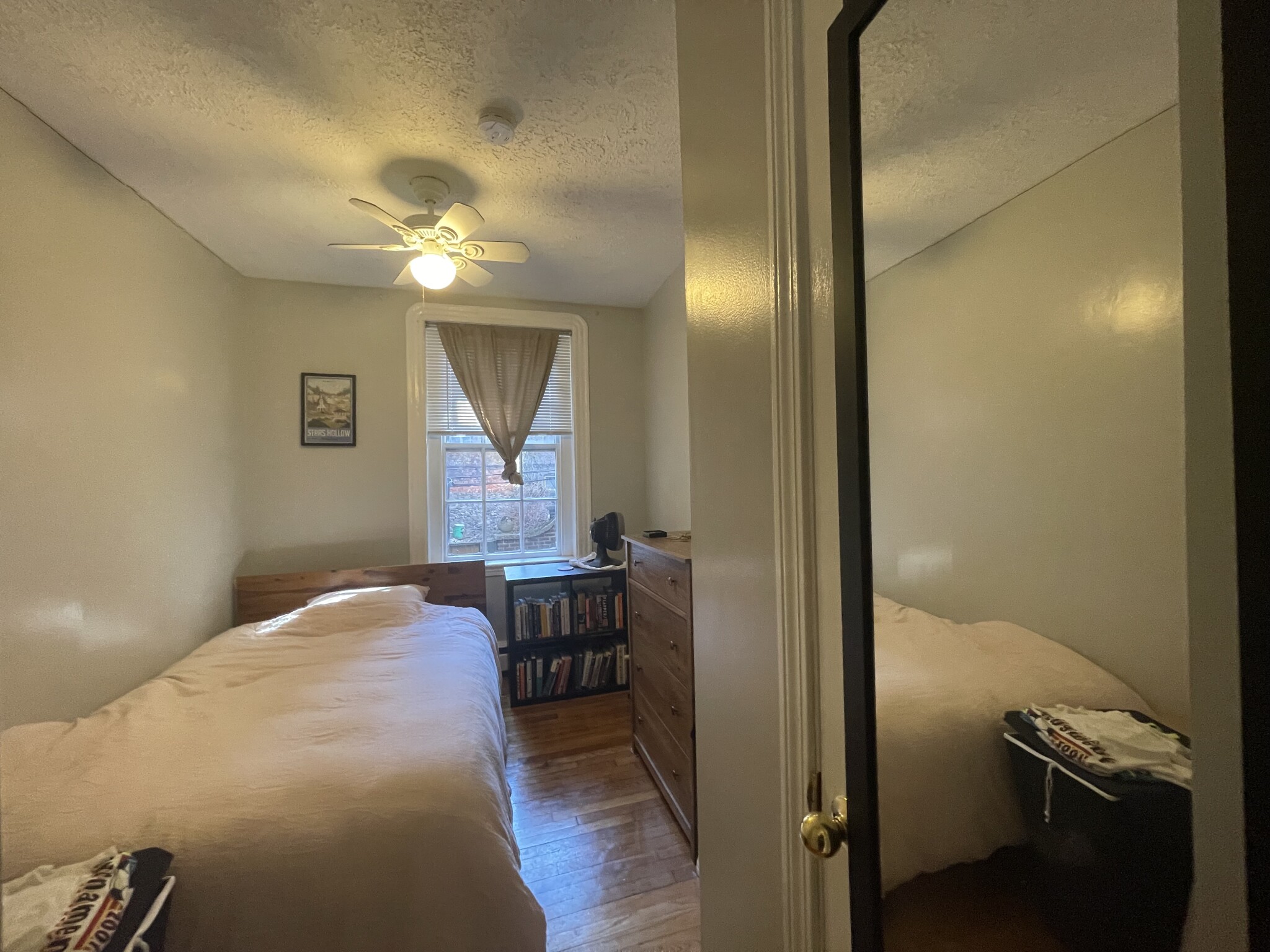 41 Anderson St, Beacon Hill