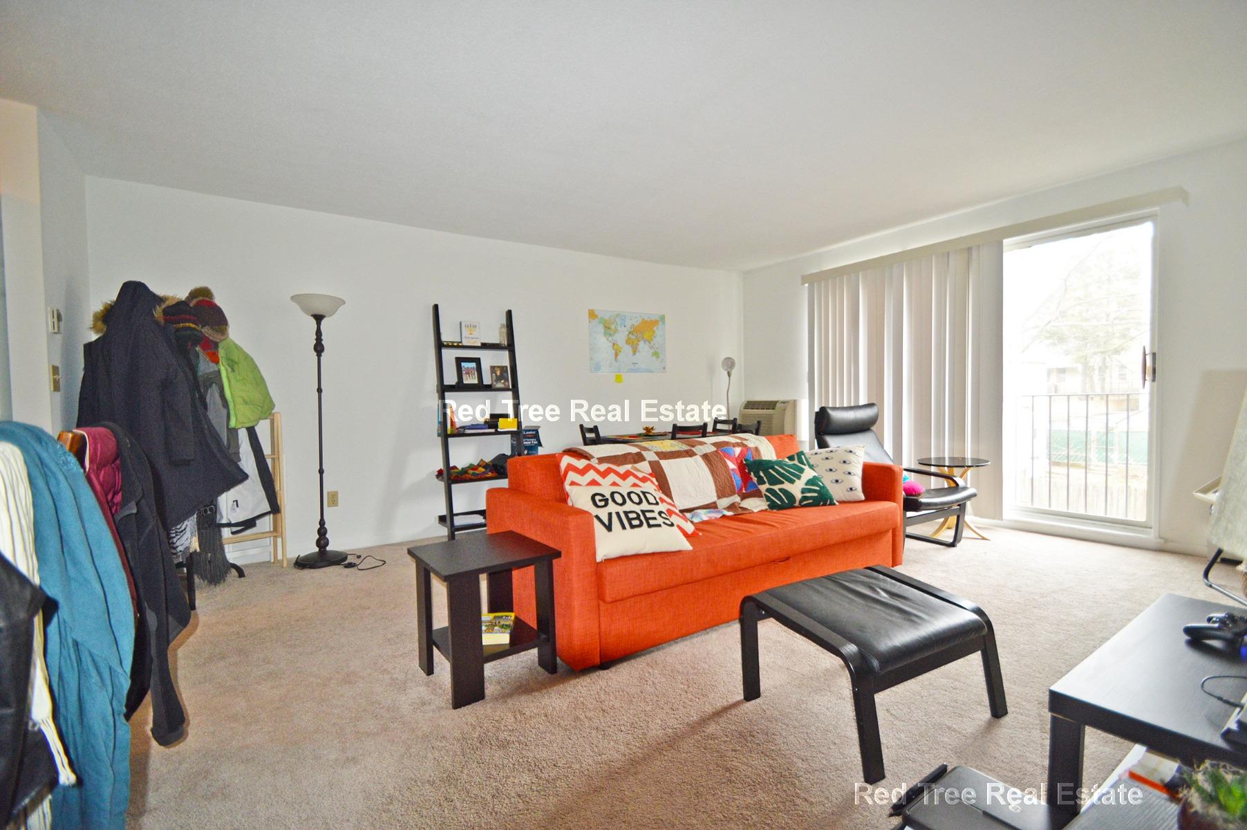 41 Belmont St, Porter Square