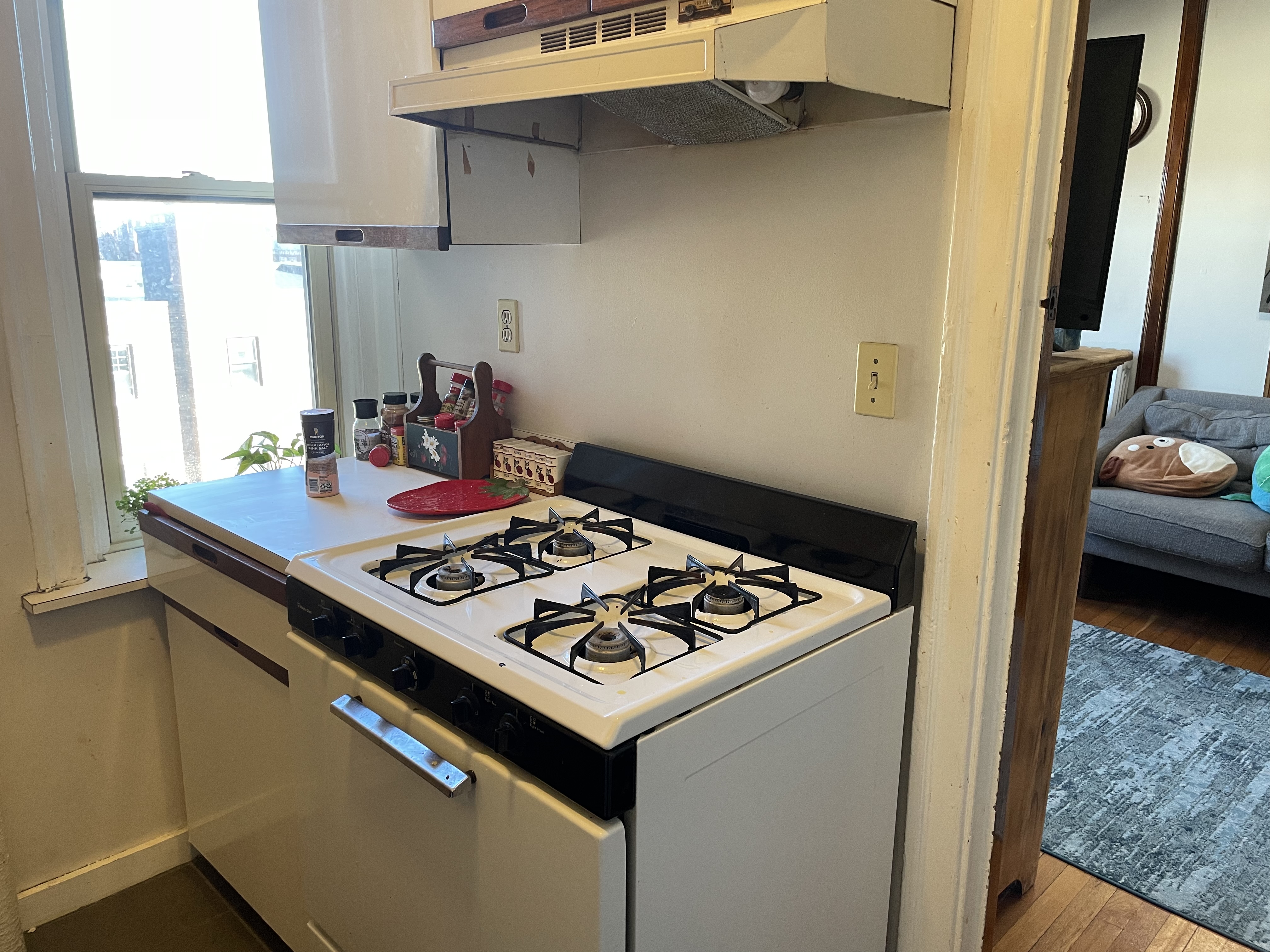 1255 Commonwealth Ave, Brighton