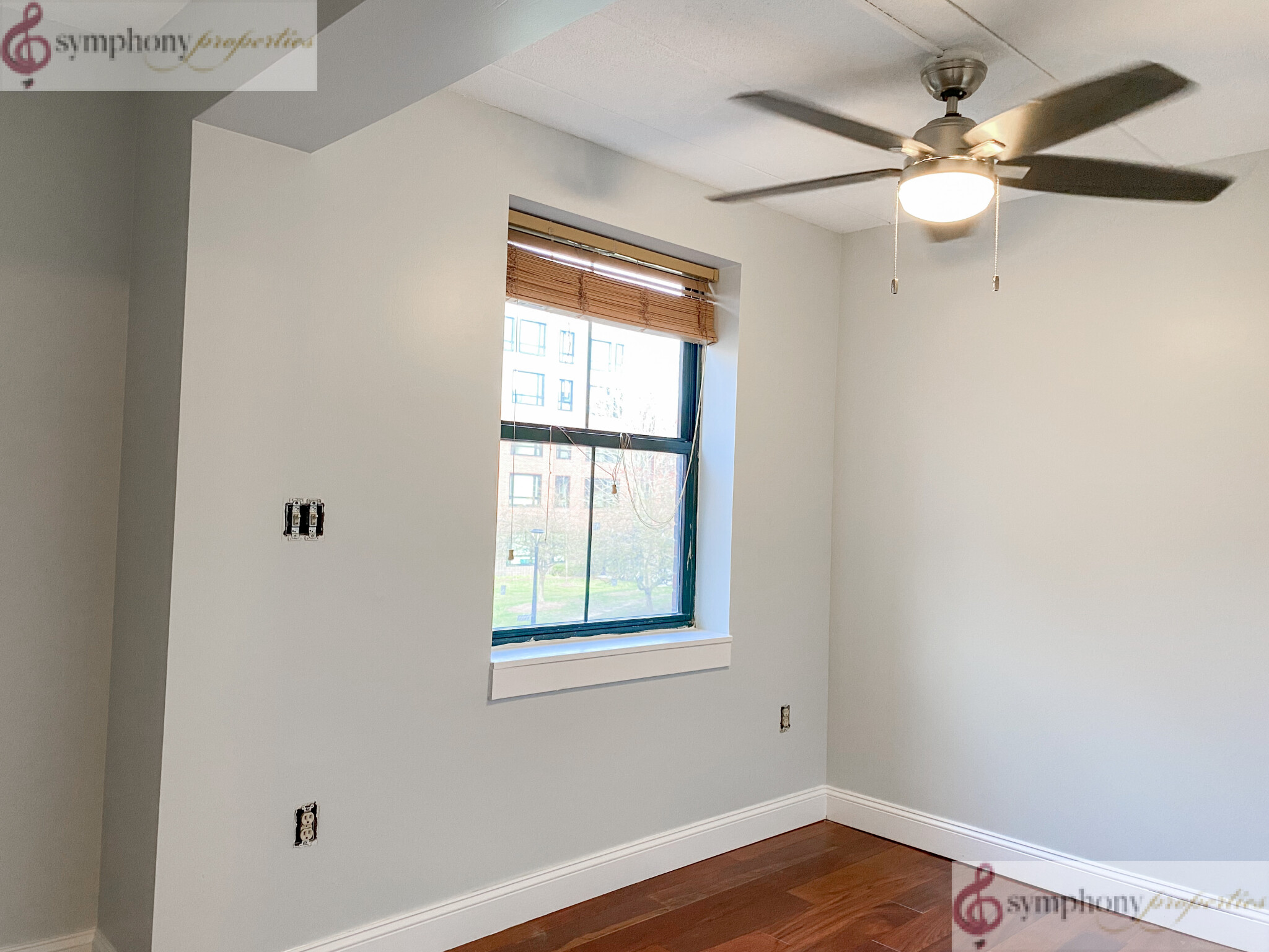 3 Douglas Park, South End