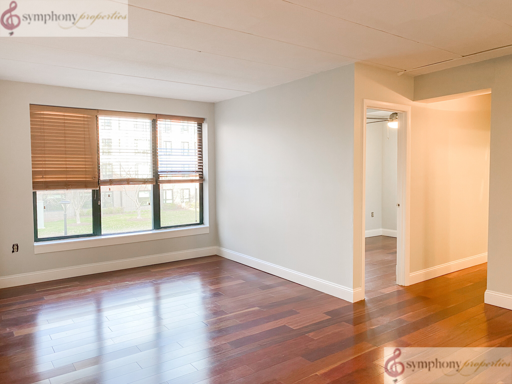 3 Douglas Park, South End