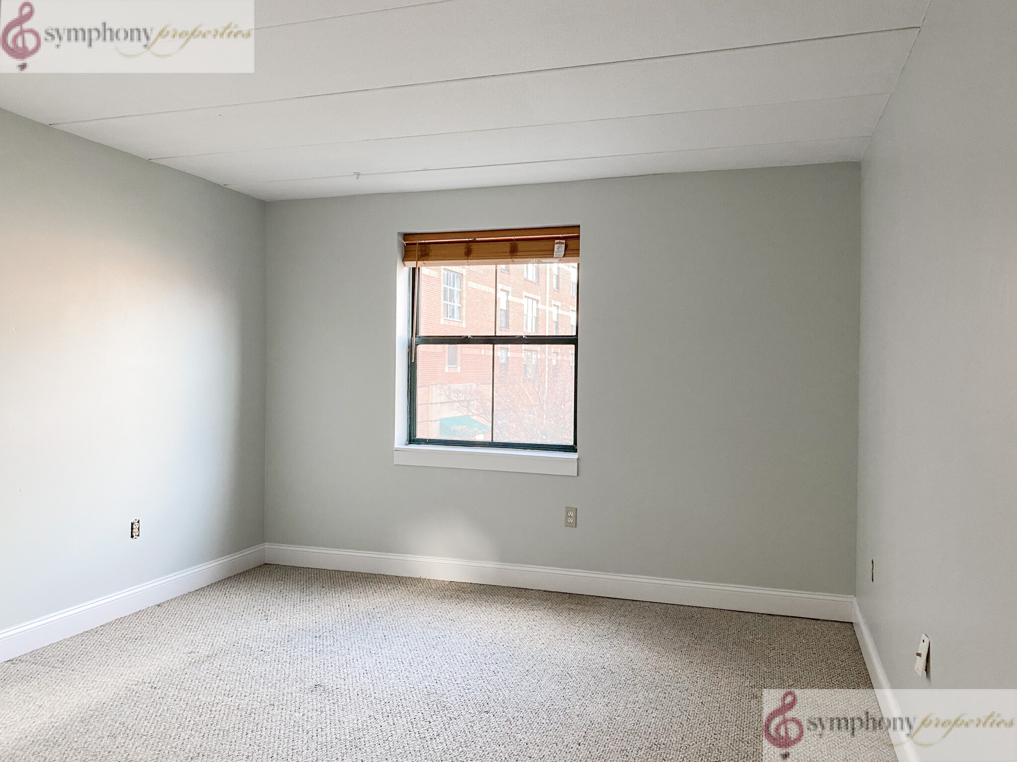 3 Douglas Park, South End