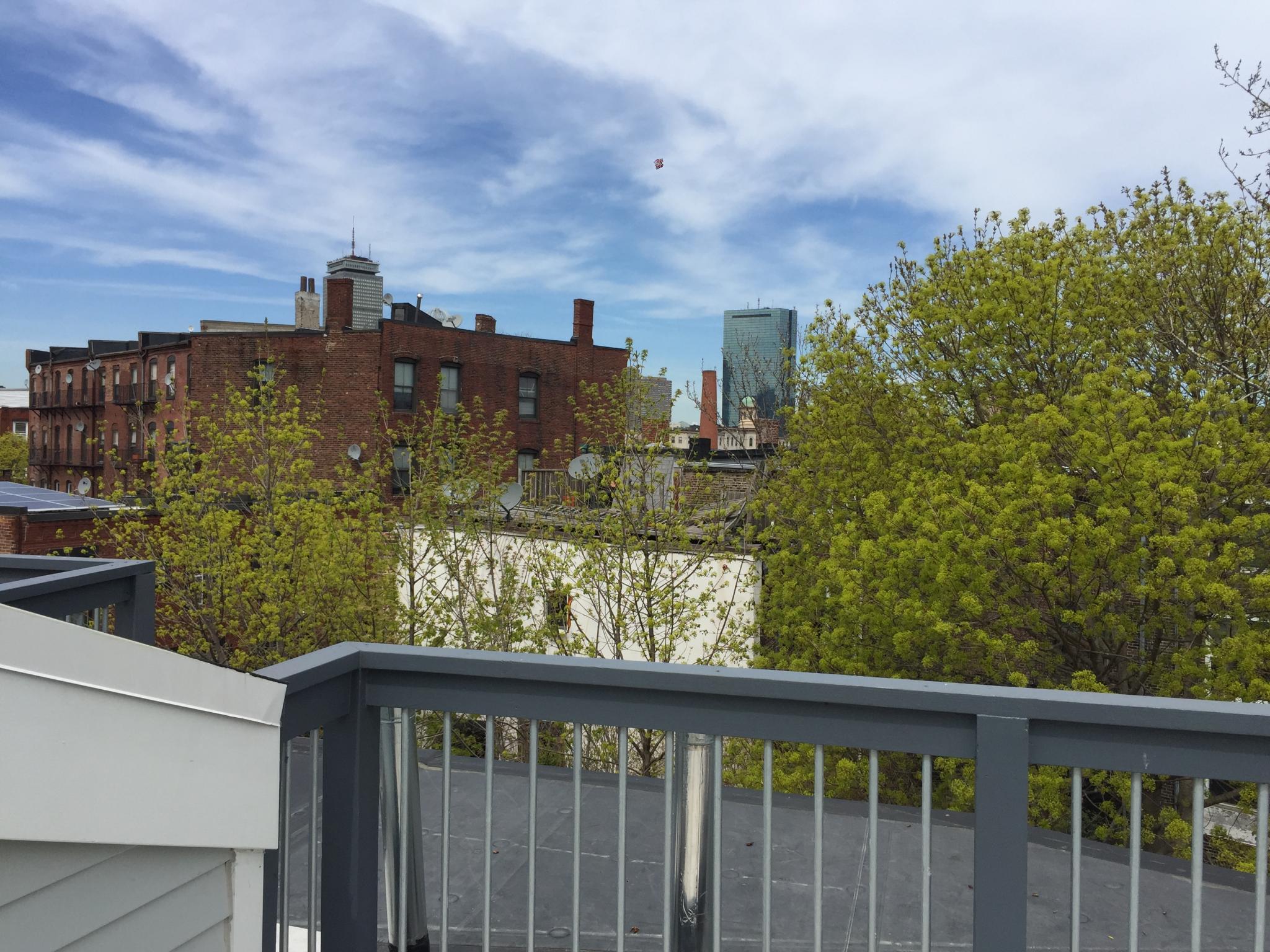 20 Sussex St, Roxbury