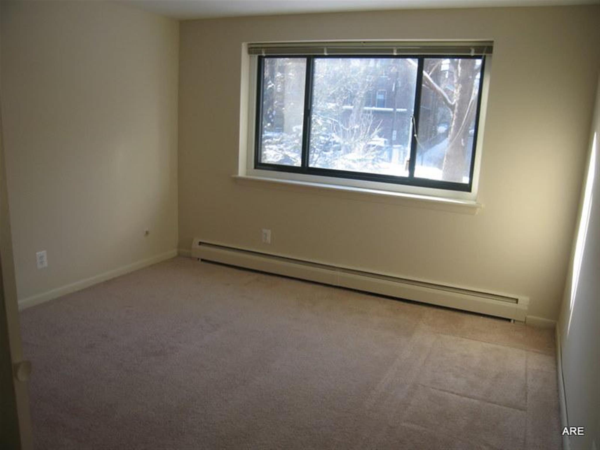 375 Harvard St, Harvard Square