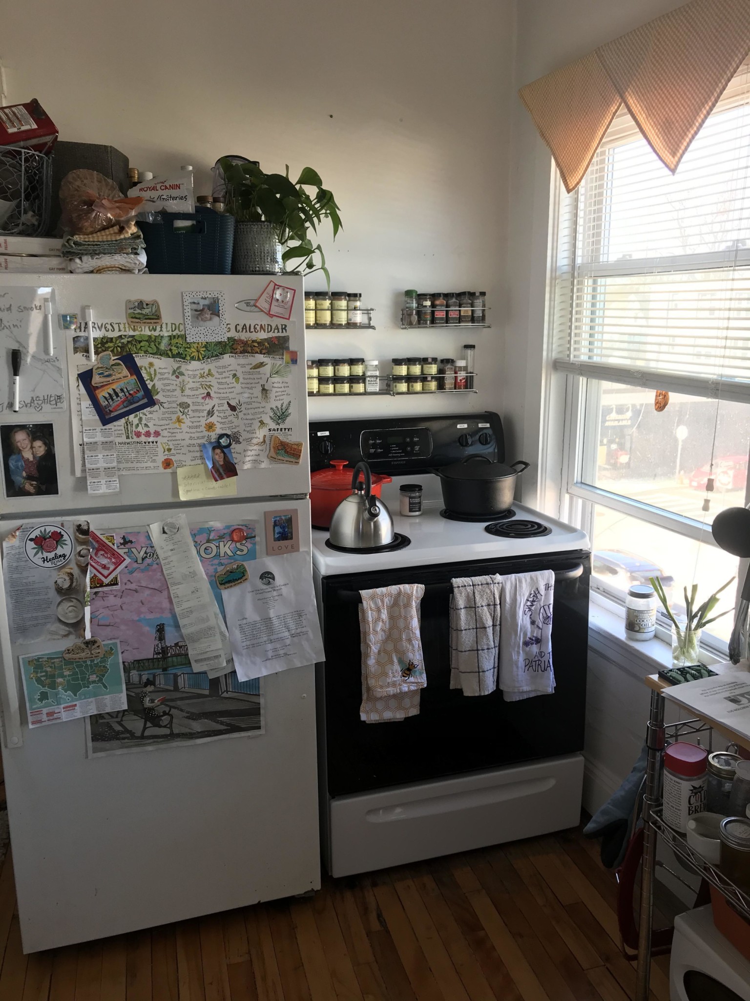 384 Washington St, Brighton