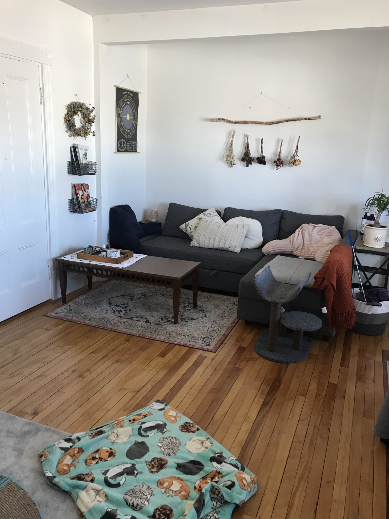 384 Washington St, Brighton