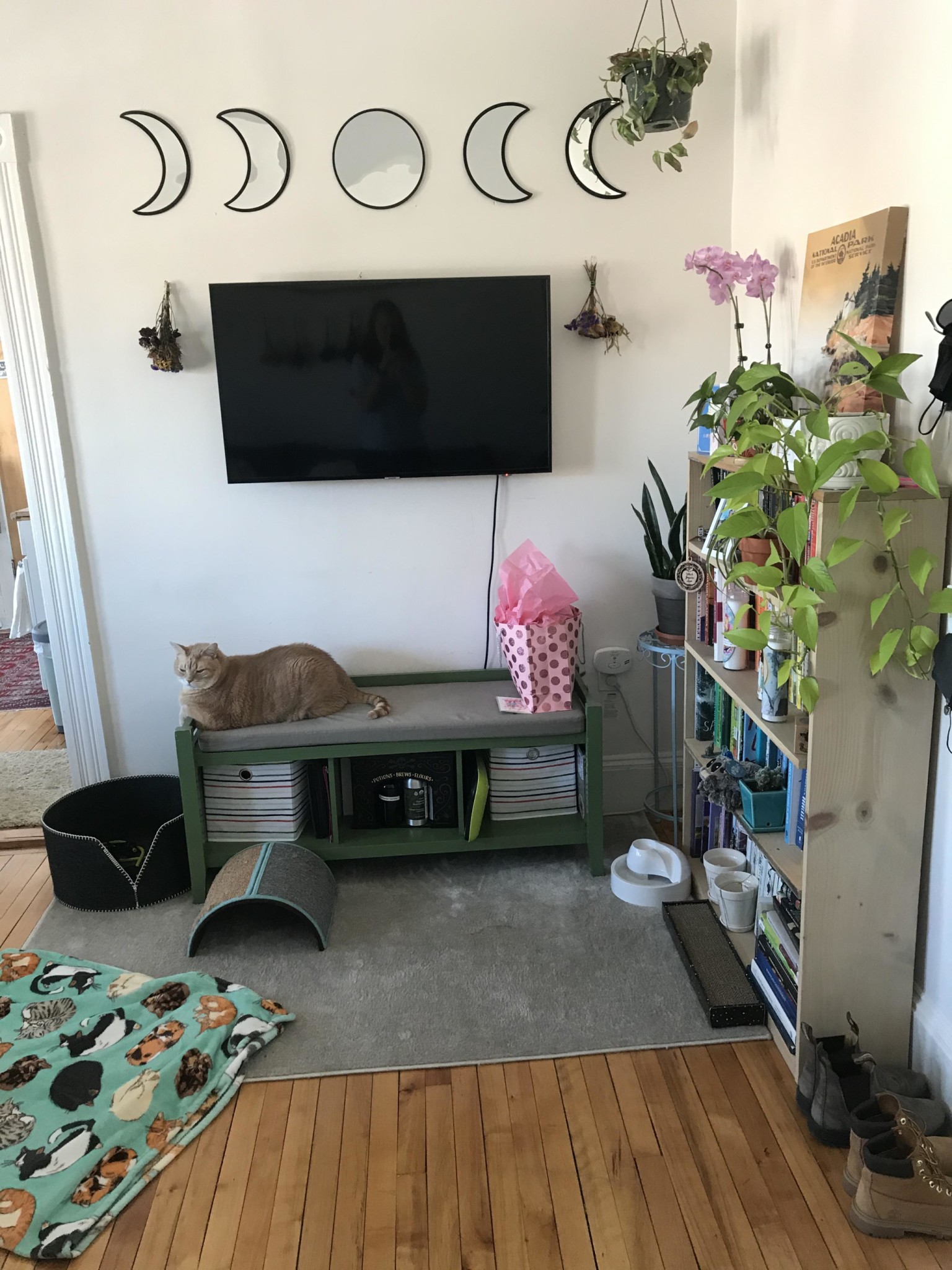 384 Washington St, Brighton