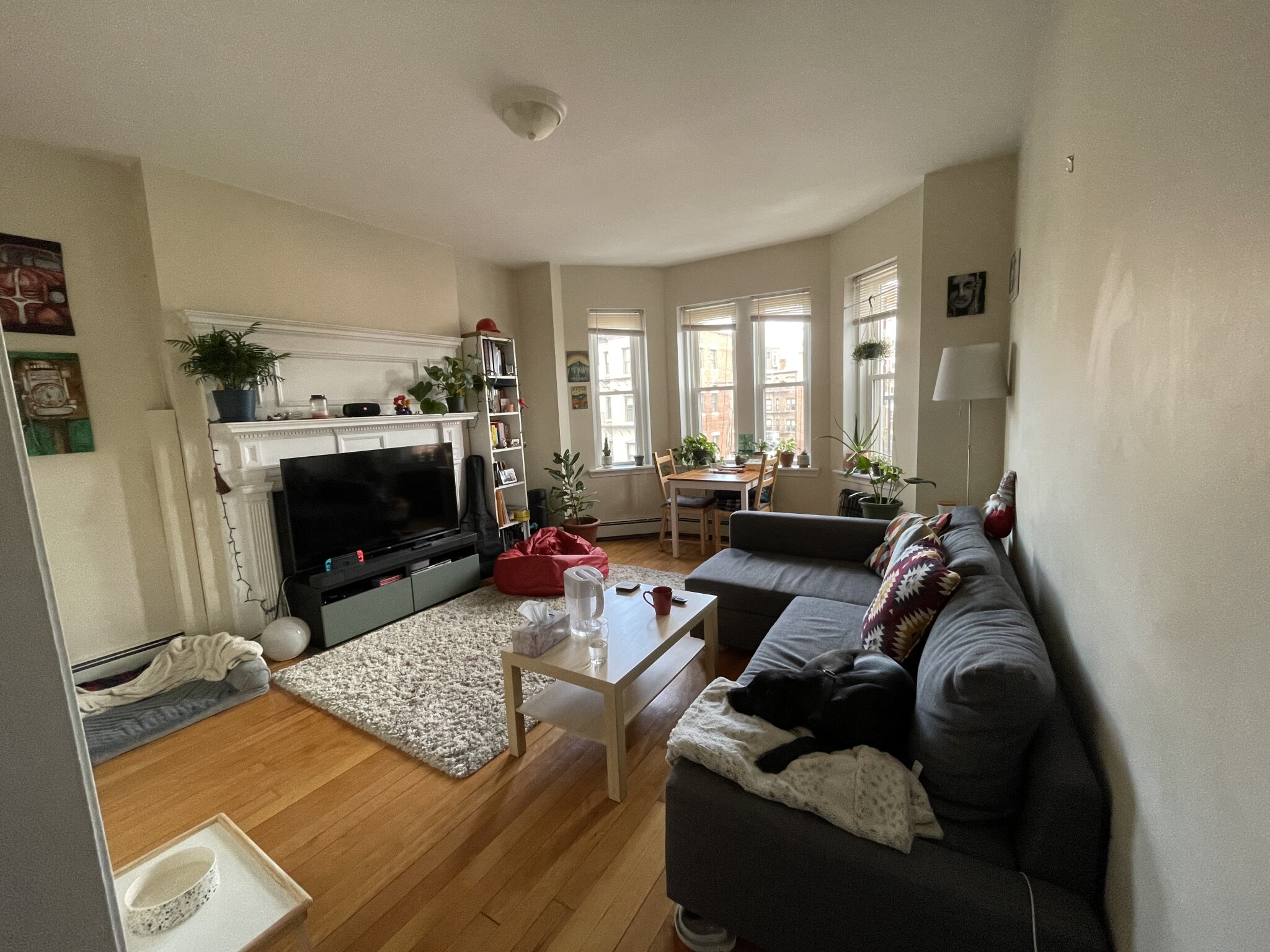 211 Harvard Ave, Allston