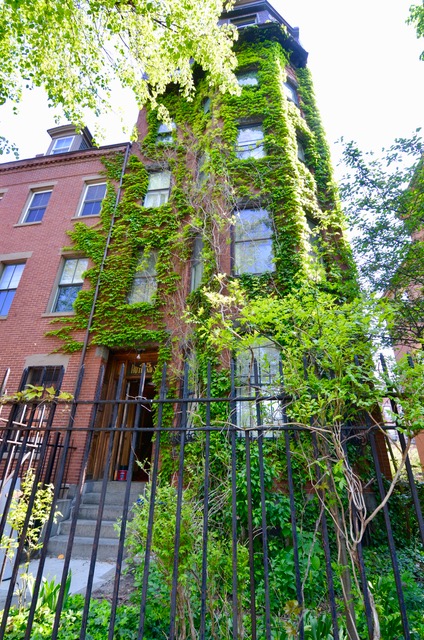 45 Rutland St, South End