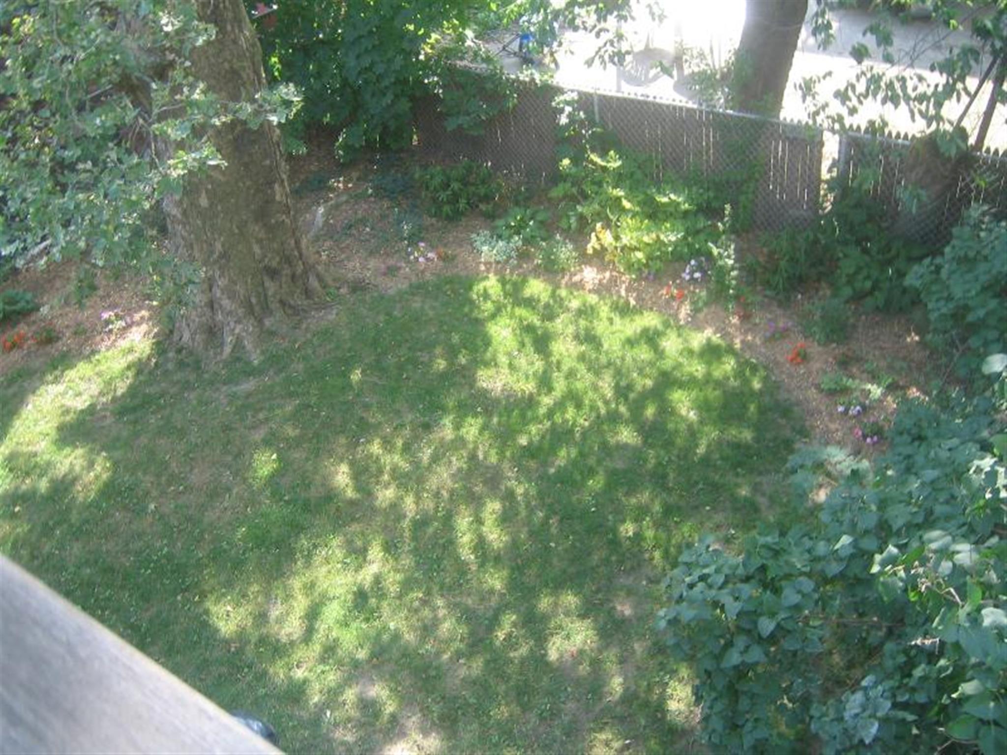 6 Westminster St, Davis Square