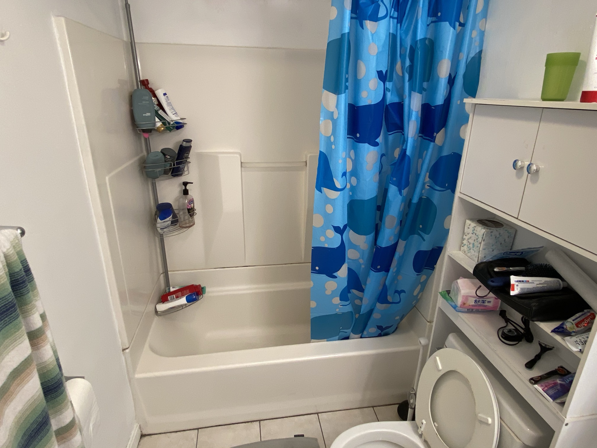 58 Mansfield St, Allston