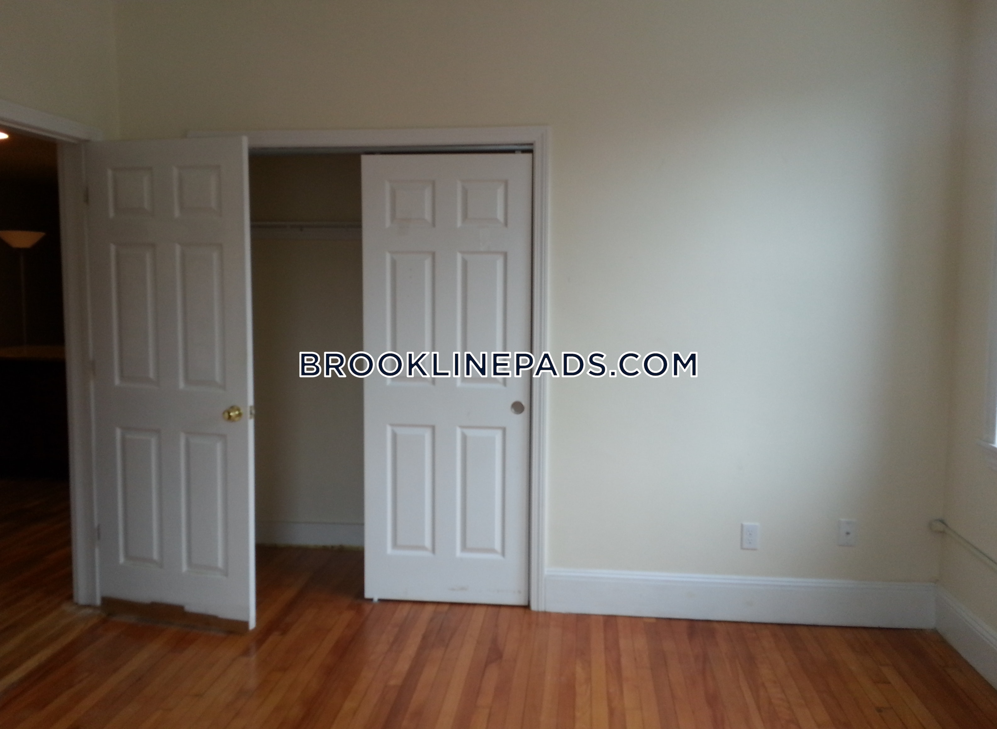 62 Egmont St, Longwood