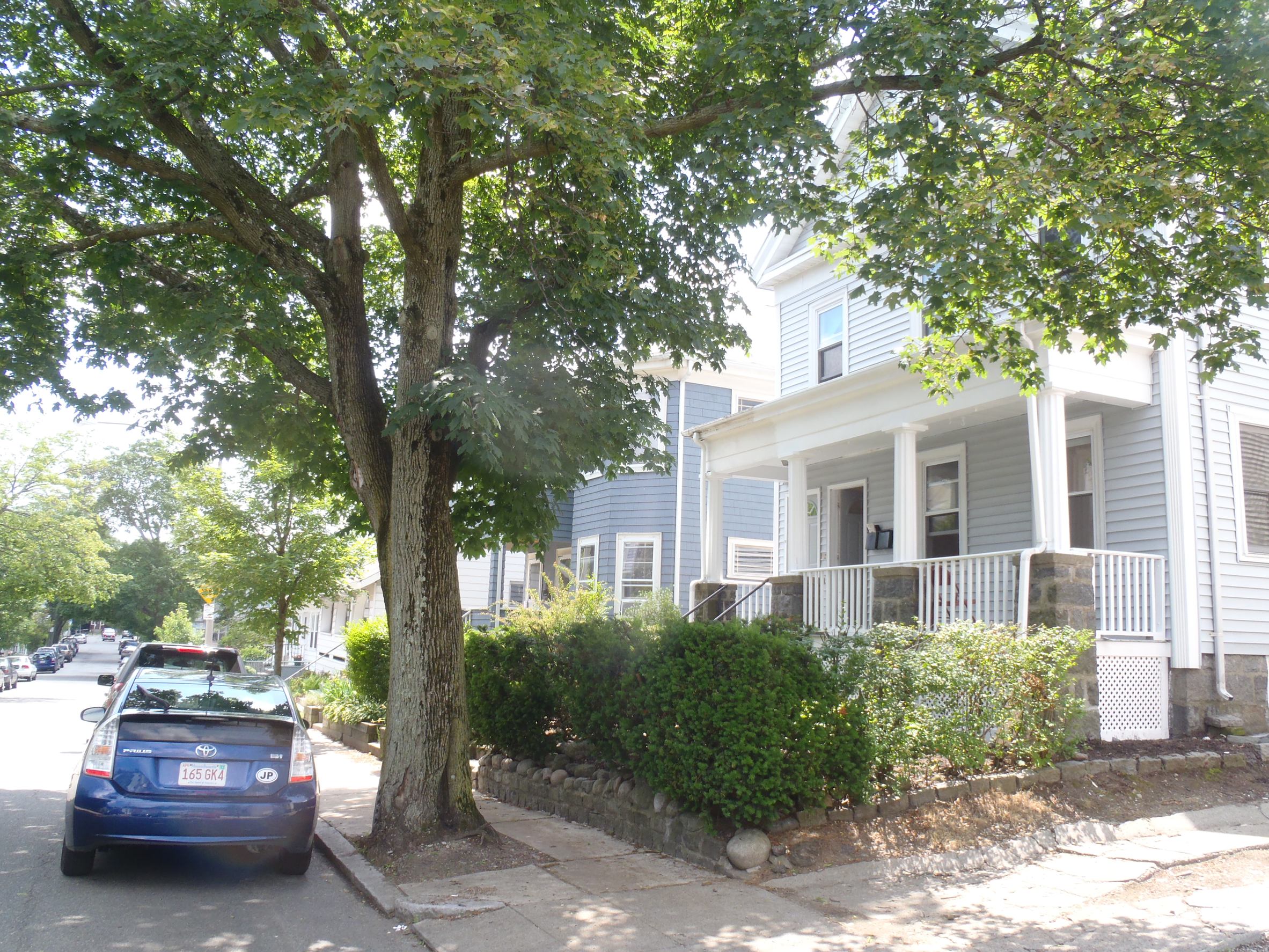 11 Bexley, Roslindale