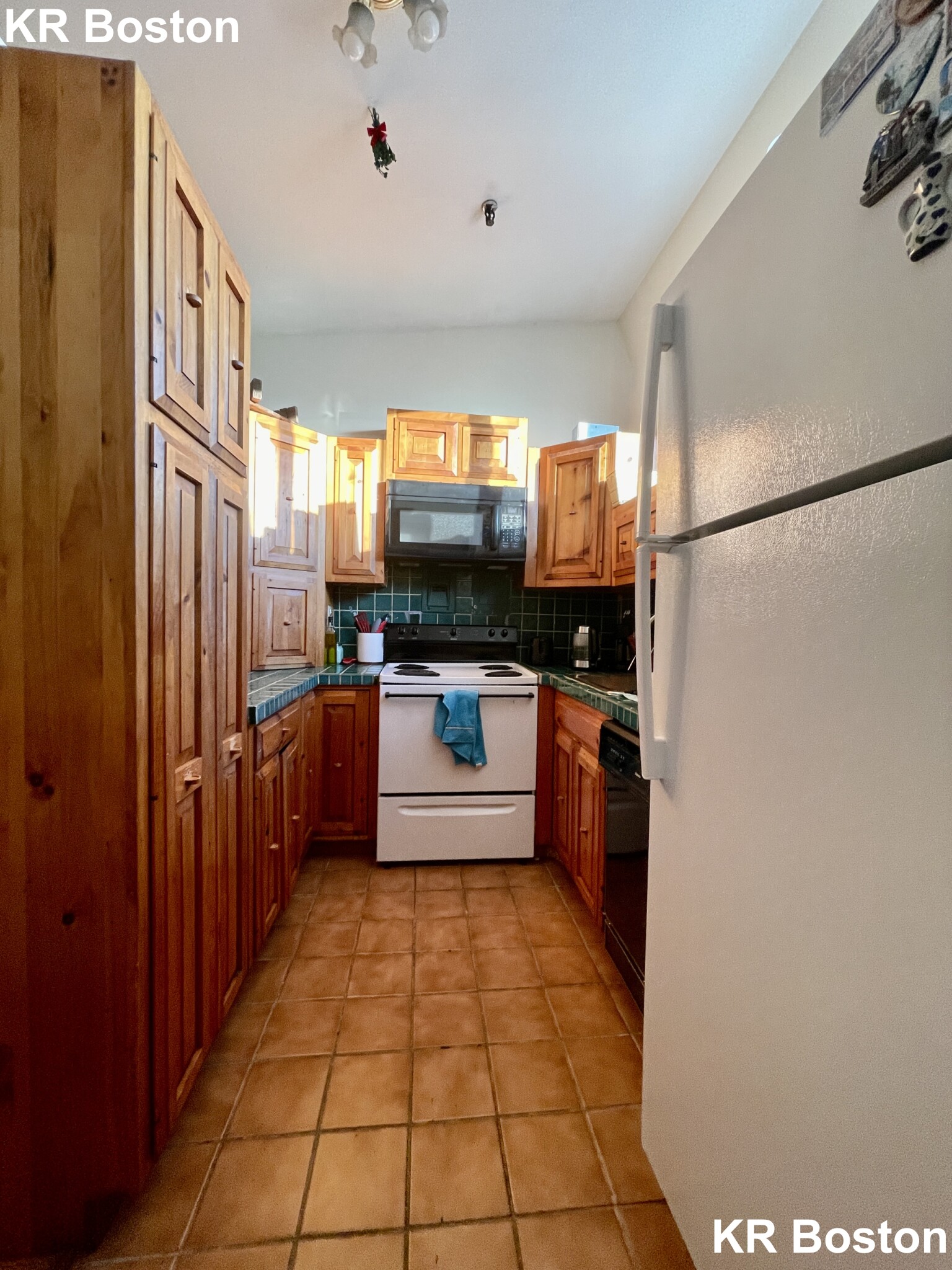 49 Symphony Rd, Fenway