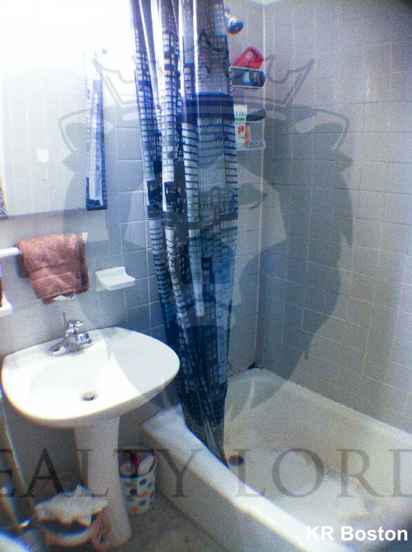 49 Symphony Rd, Fenway