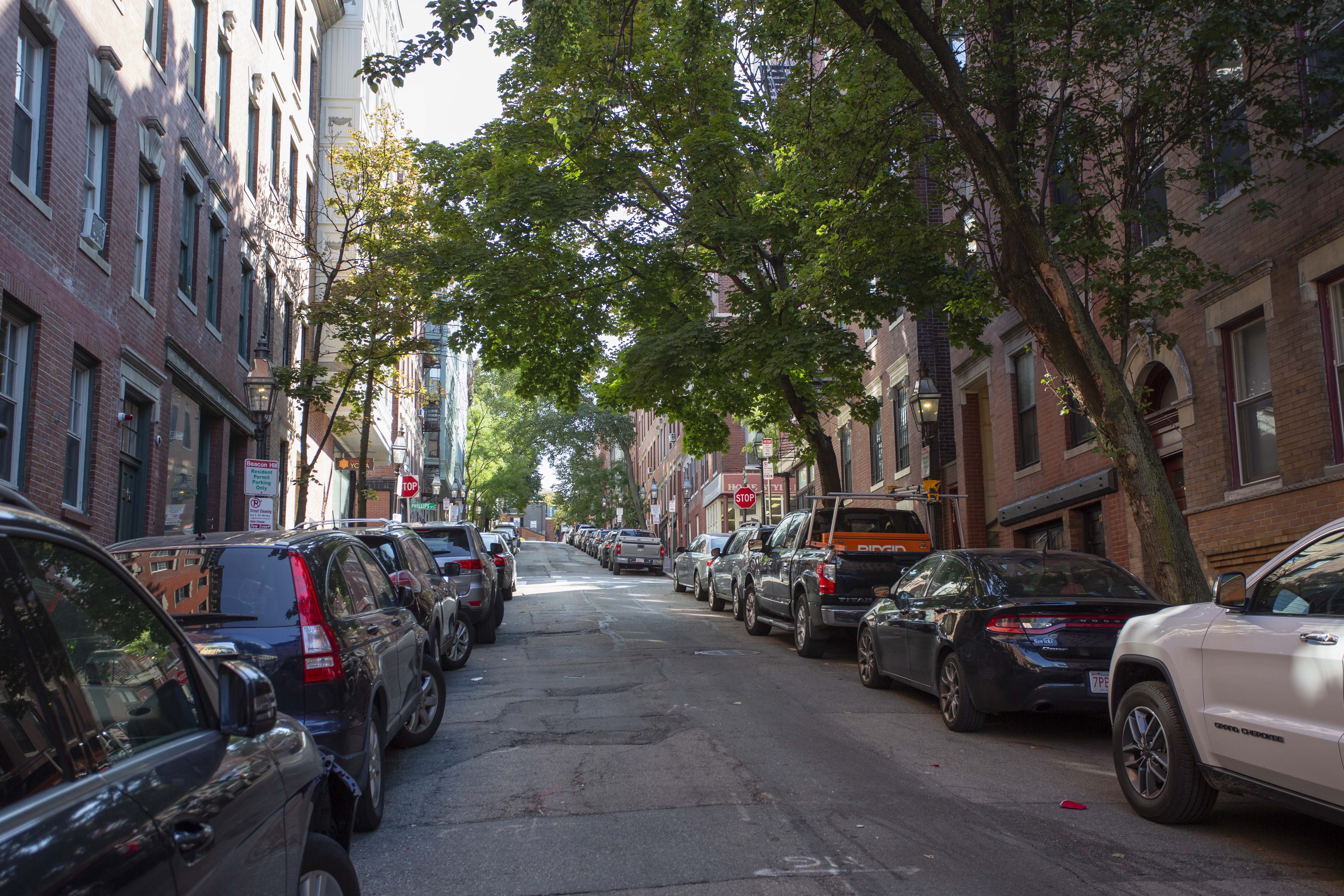 7 Anderson St, Beacon Hill