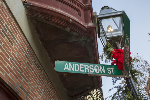 7 Anderson St, Beacon Hill