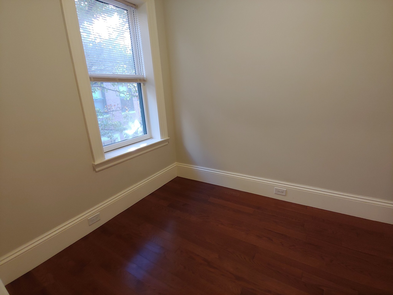 98 Myrtle St, Beacon Hill