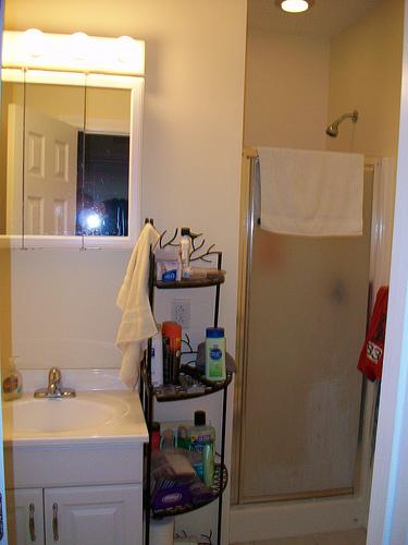 41 Anderson St, Beacon Hill