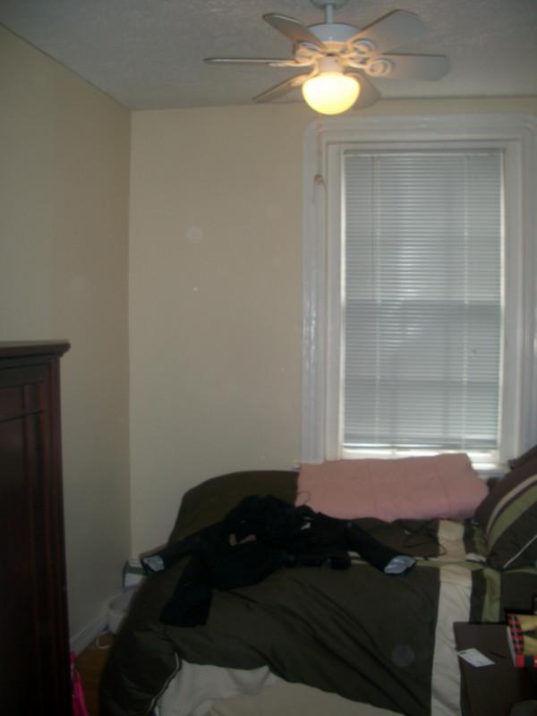 41 Anderson St, Beacon Hill