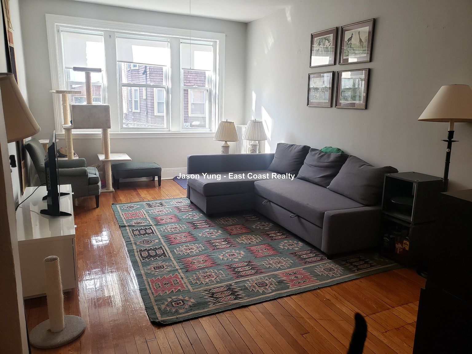 45 Chestnut Hill Ave, Brighton