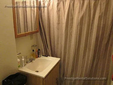 231 Harrison Ave, Chinatown