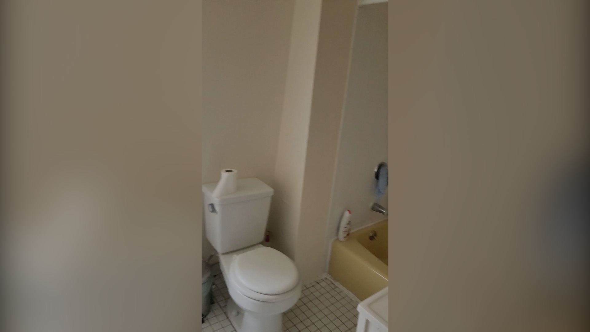 12 Lincoln St, Newton