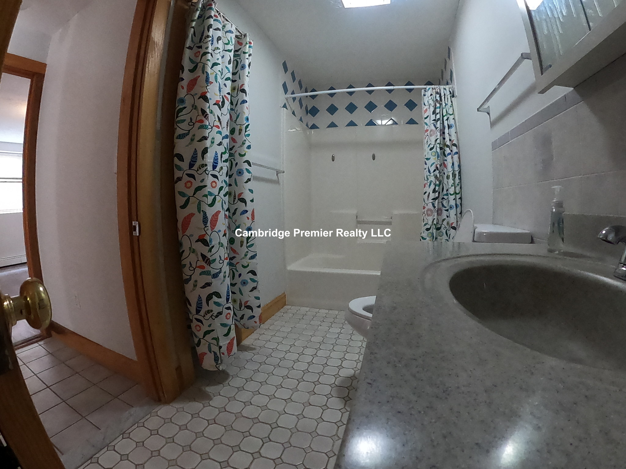 5 Baldwin Street Ct, Mid-Cambridge