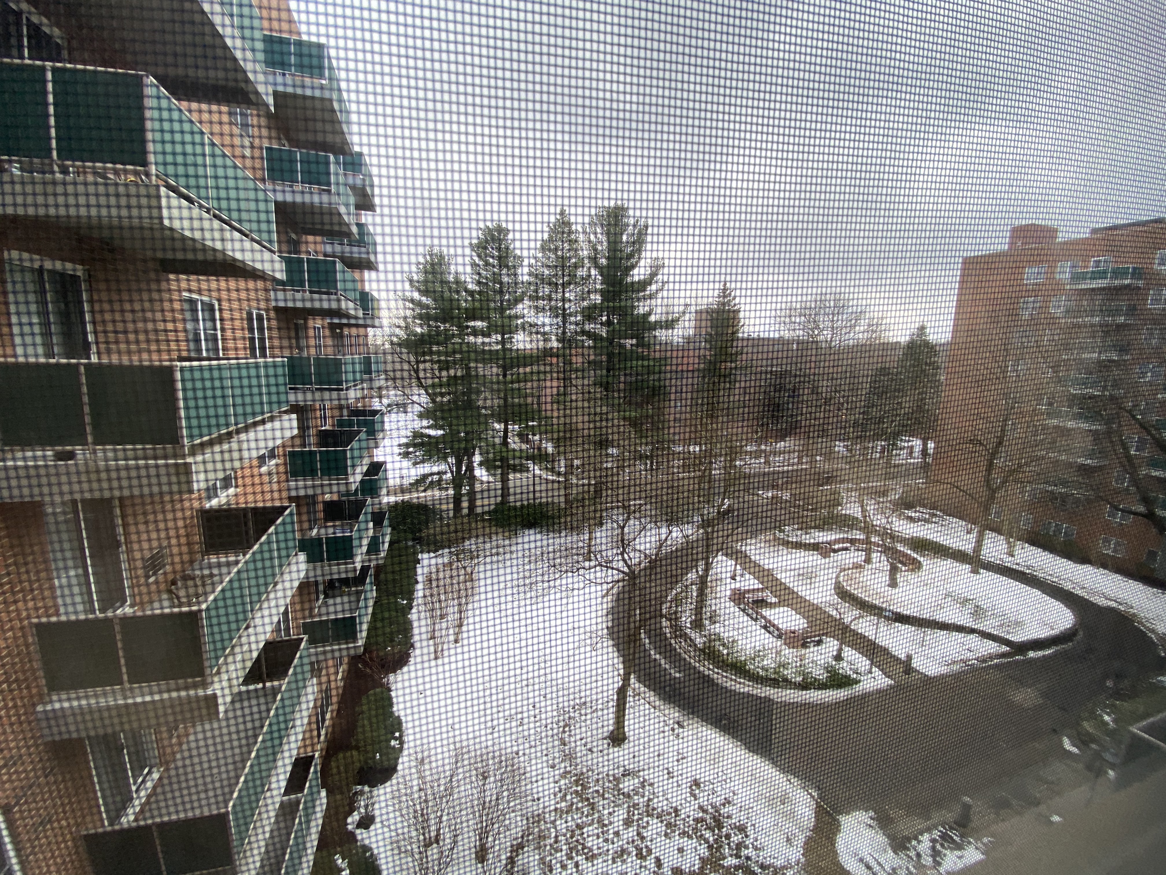 175 Freeman St, Longwood