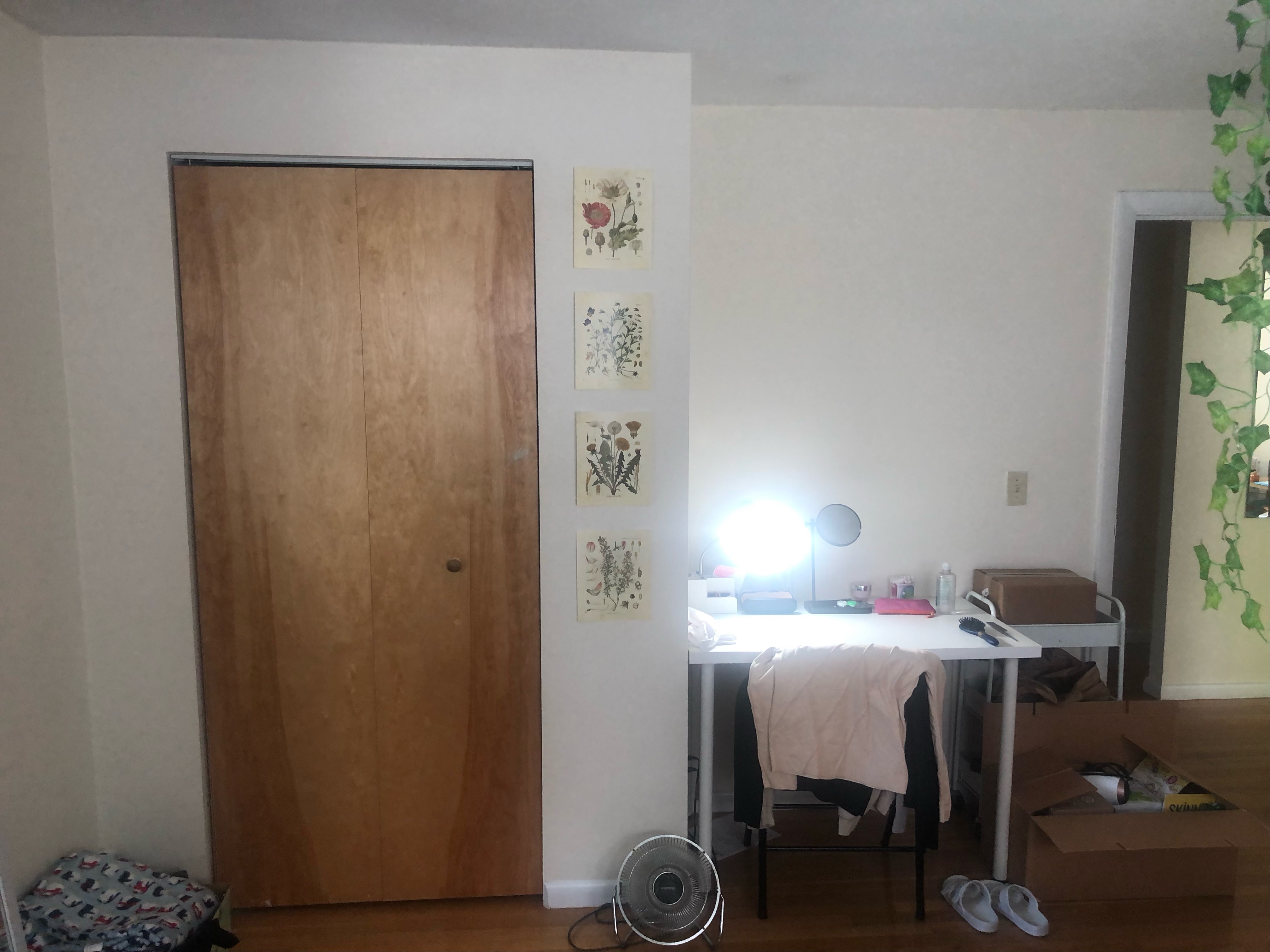 110 Babcock St, Coolidge Corner