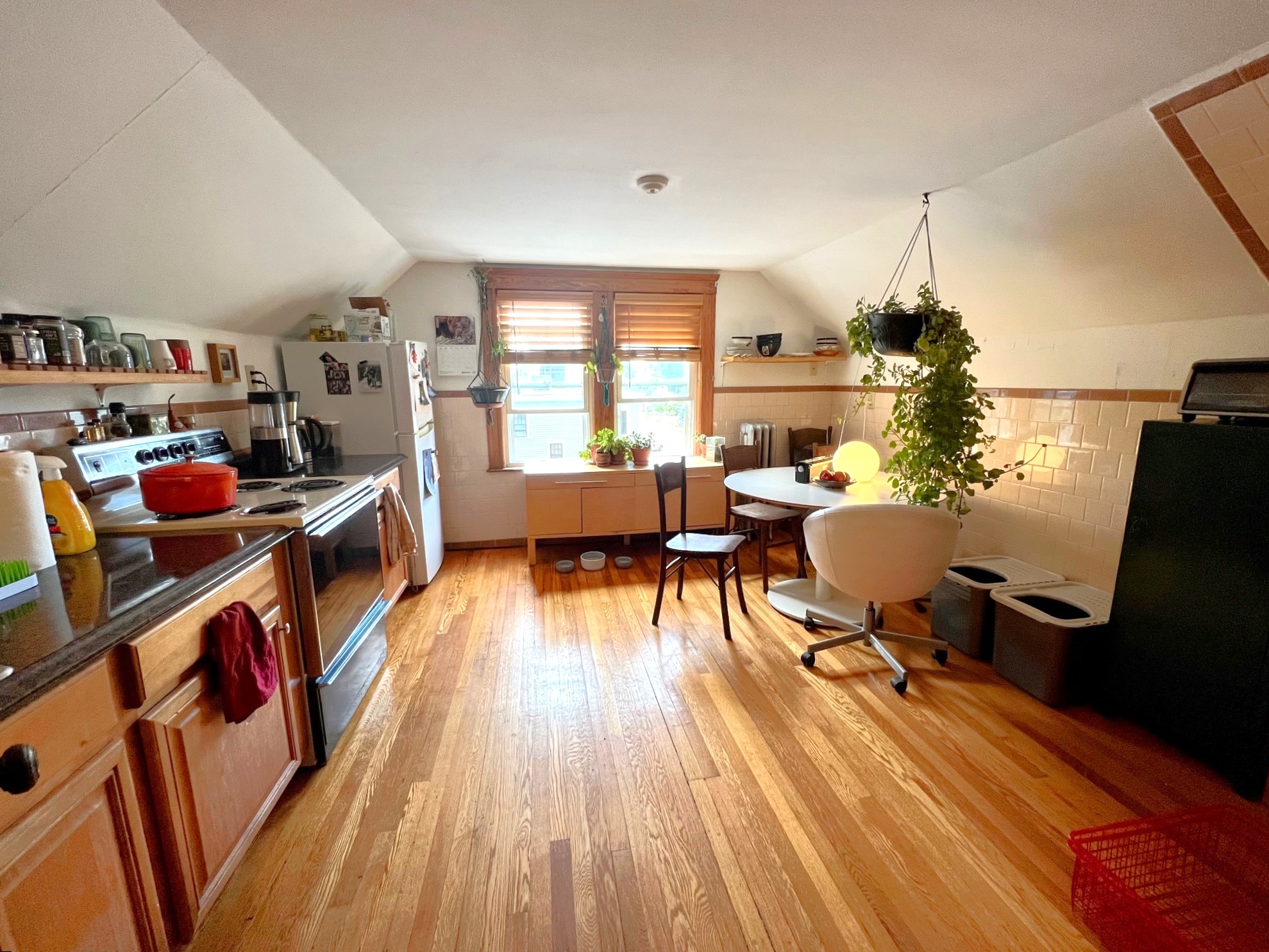 40 Alfred Rd, Arlington