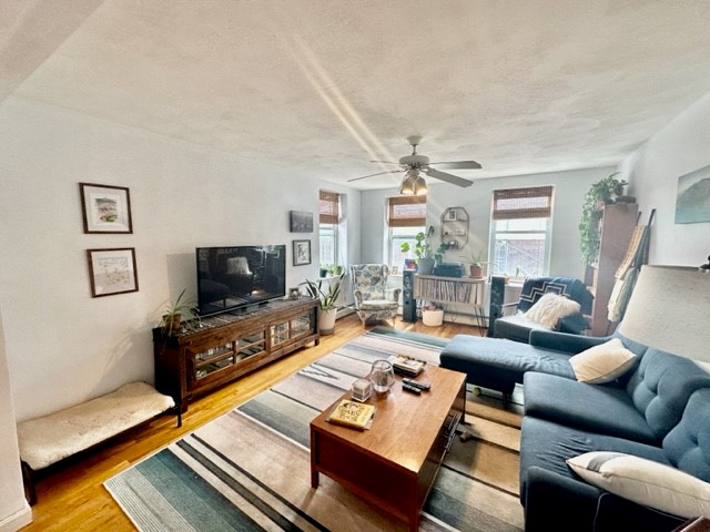 10 Harris St, North End