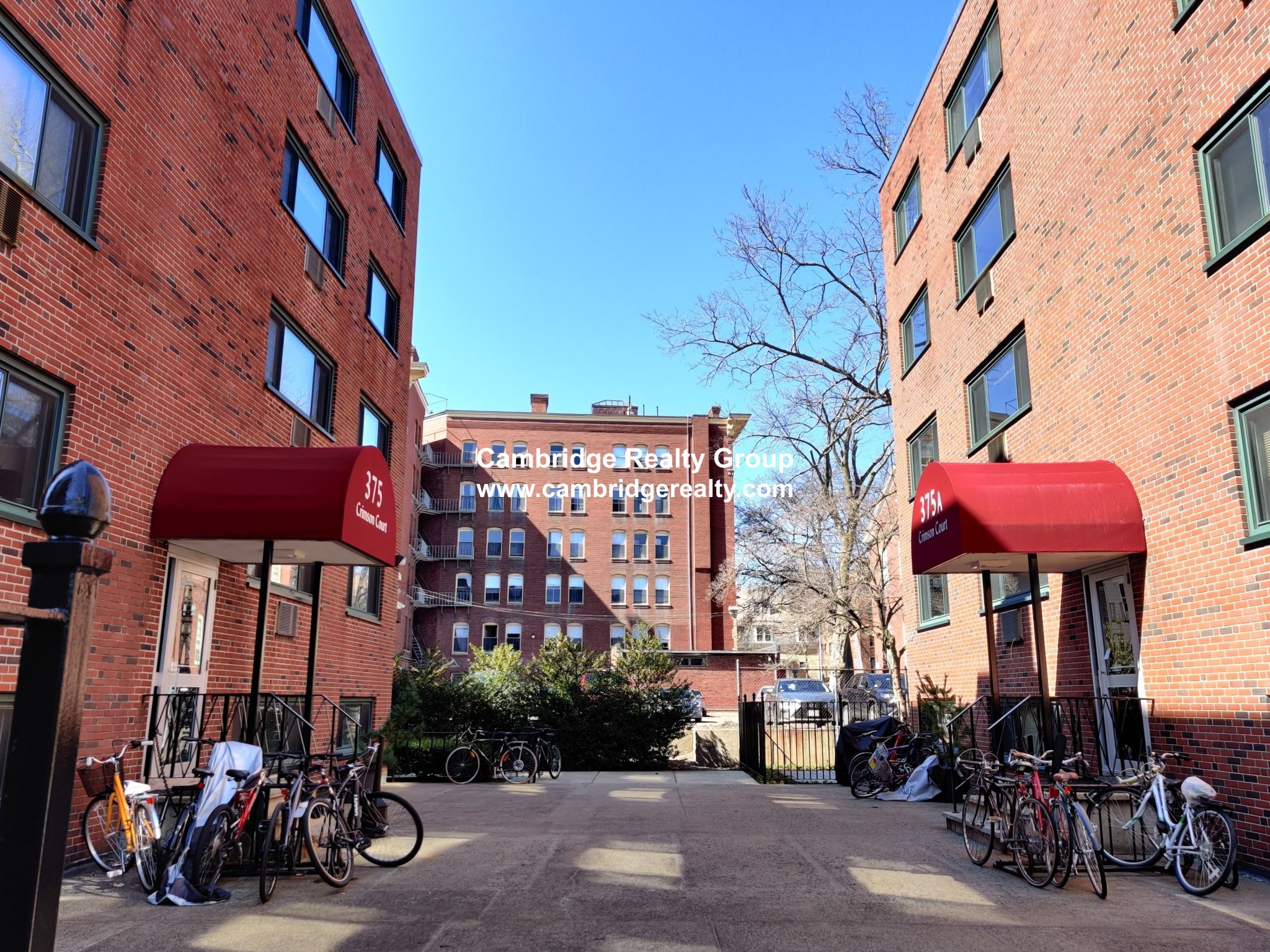 375 Harvard St, Harvard Square