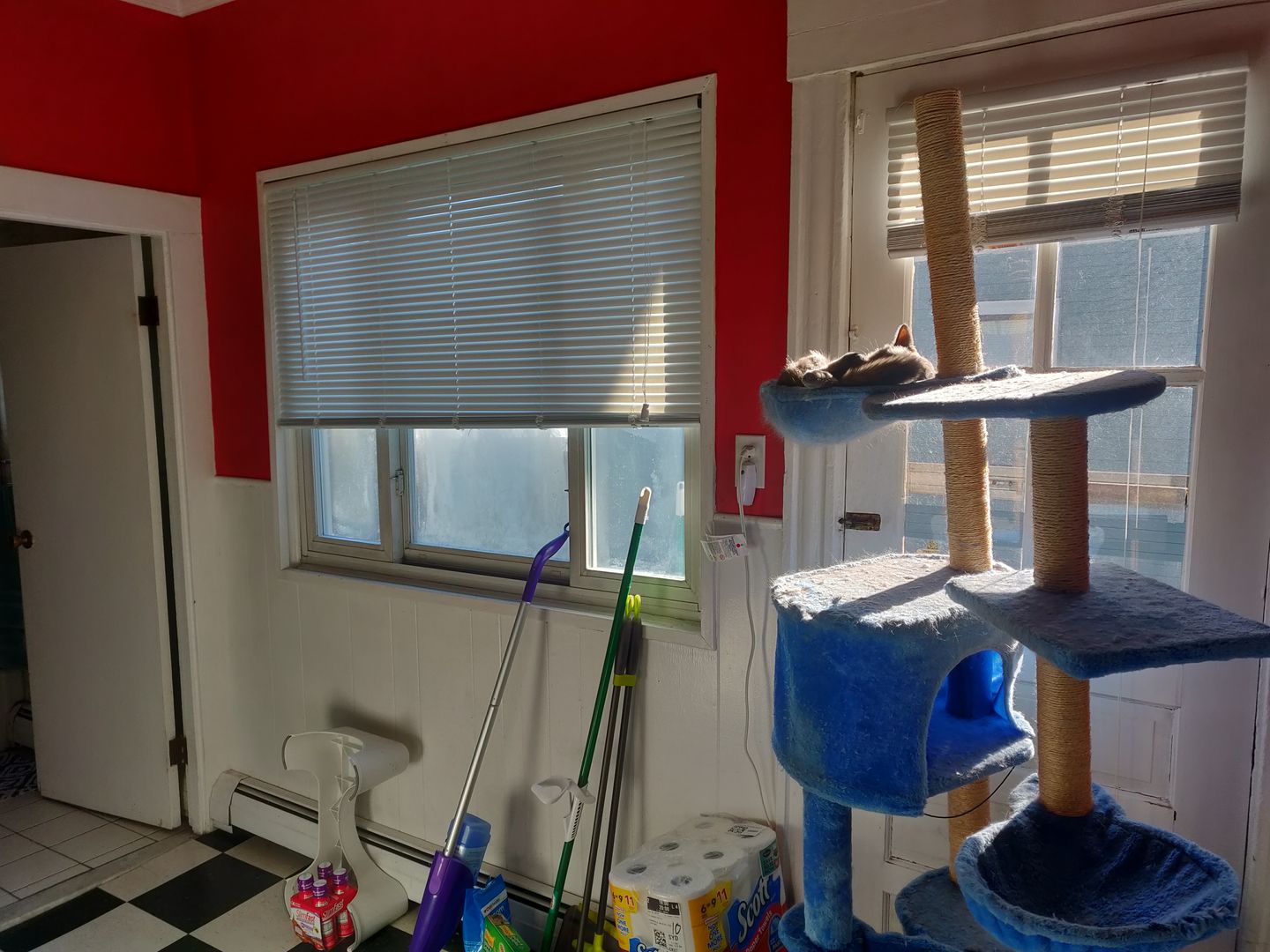 12 Craigie Ter, Spring Hill