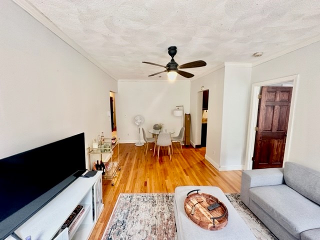 136 Prince St, North End