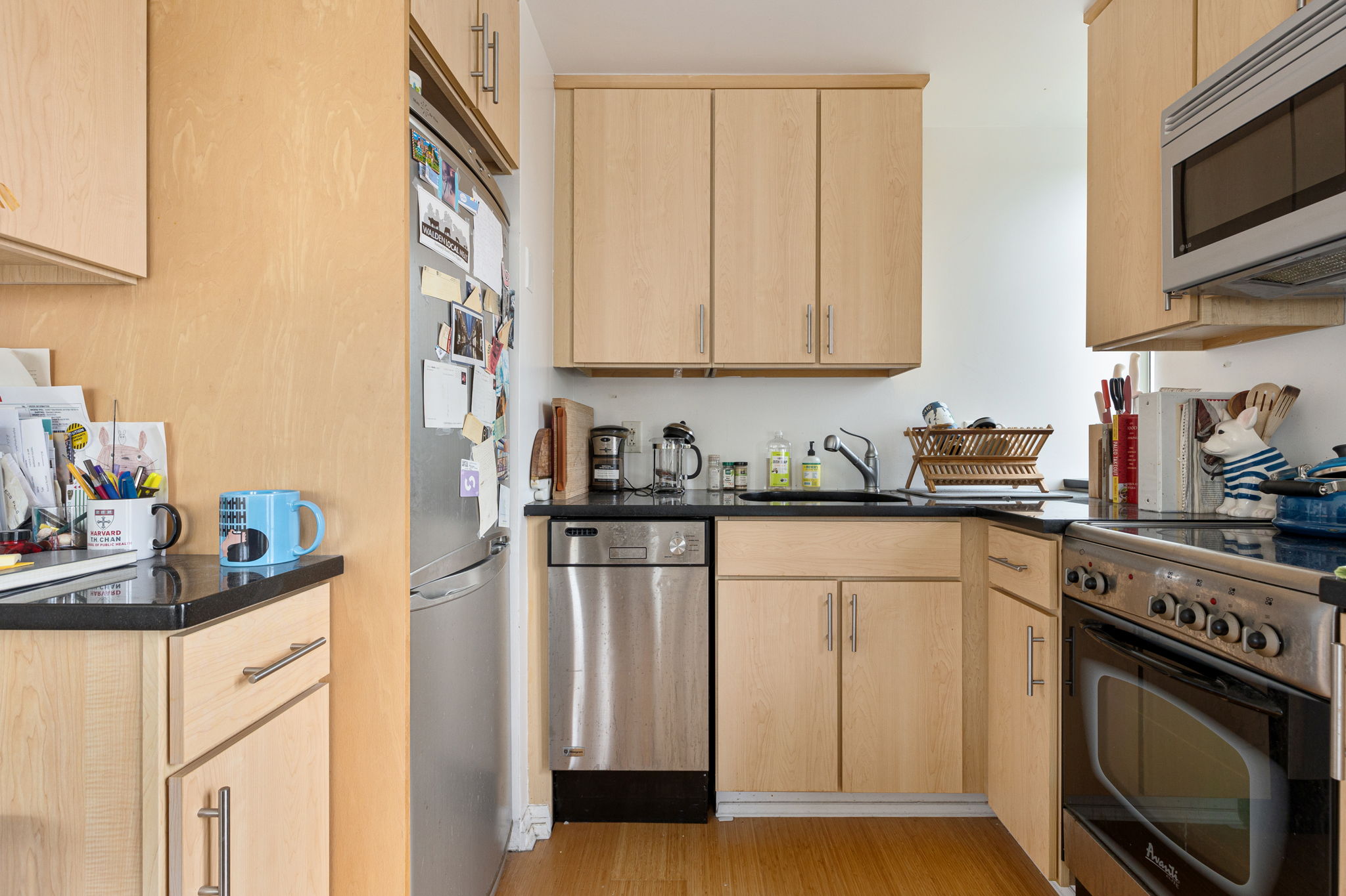 20 Chapel St, Longwood