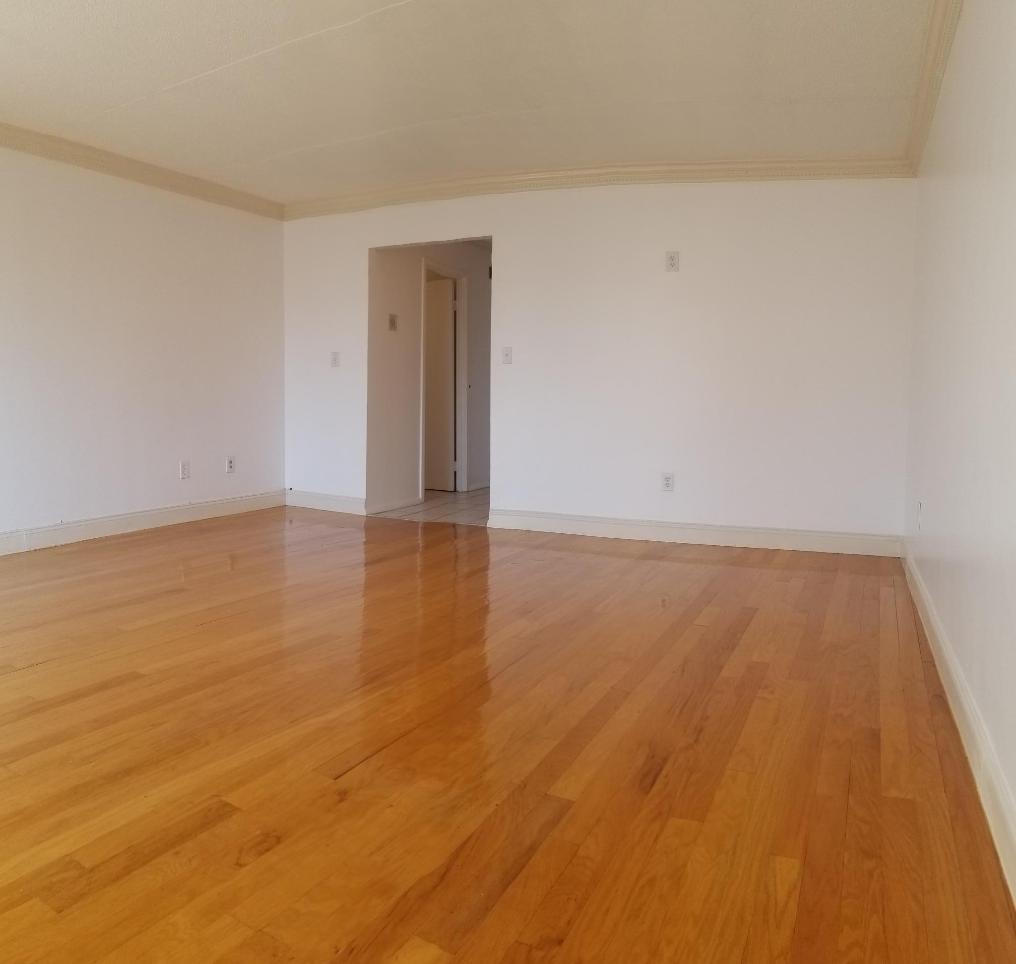 50 Broadlawn Park #507, Chestnut Hill