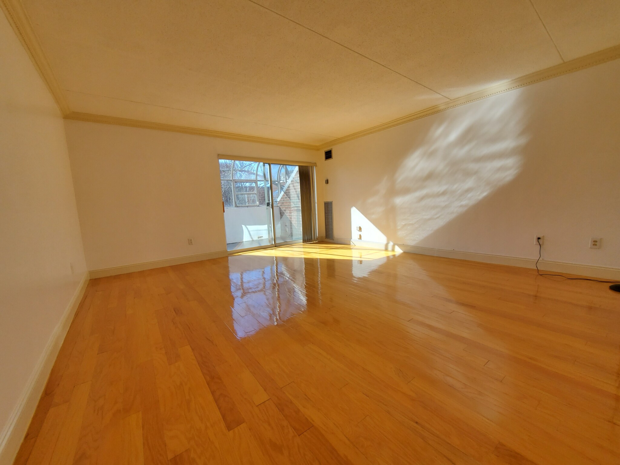 50 Broadlawn Park #507, Chestnut Hill