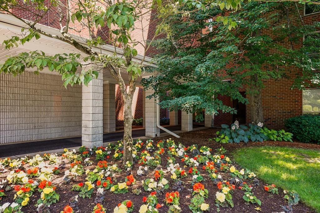 50 Broadlawn Park, Chestnut Hill