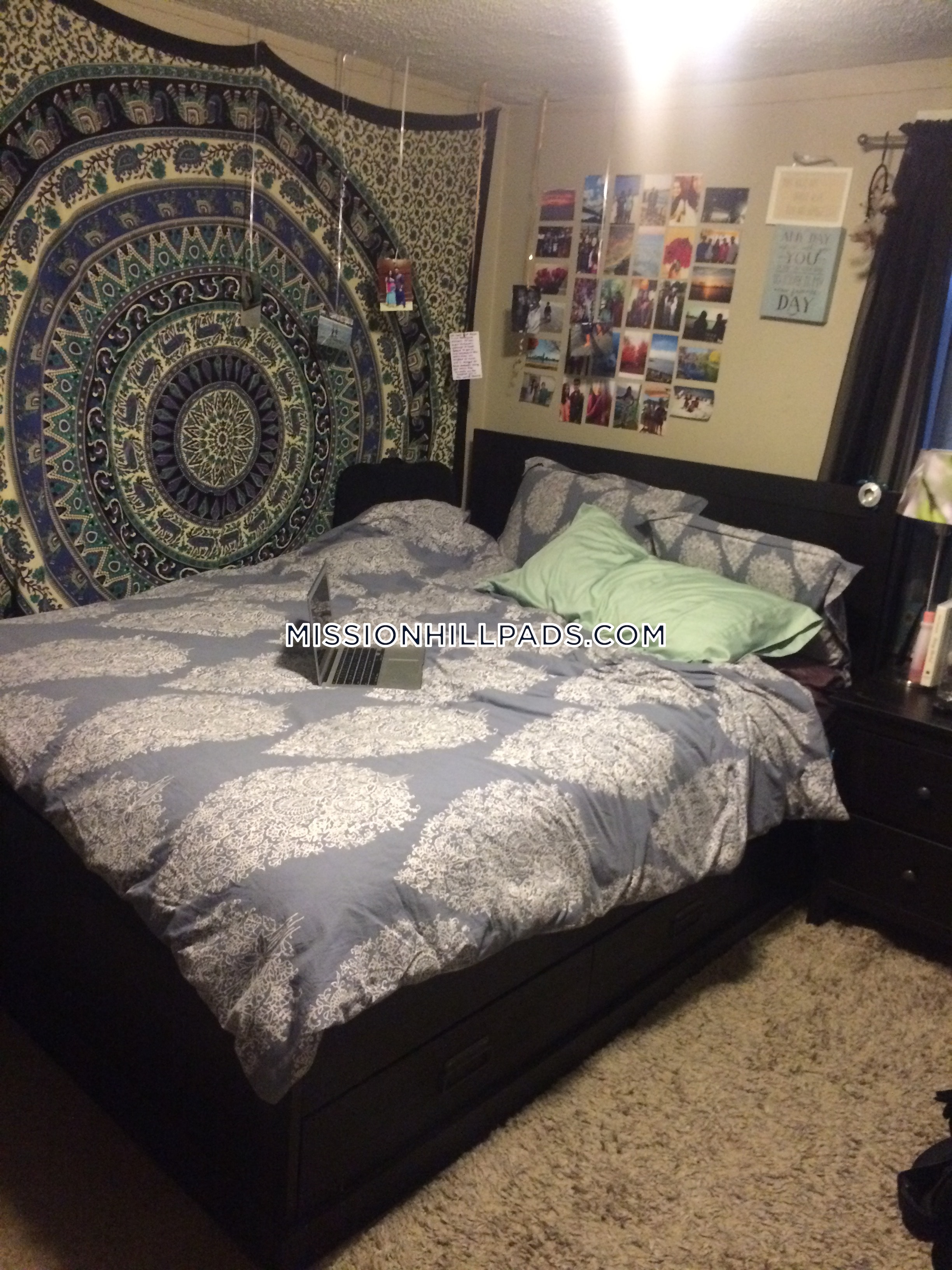 12 Shepherd Ave, Mission Hill