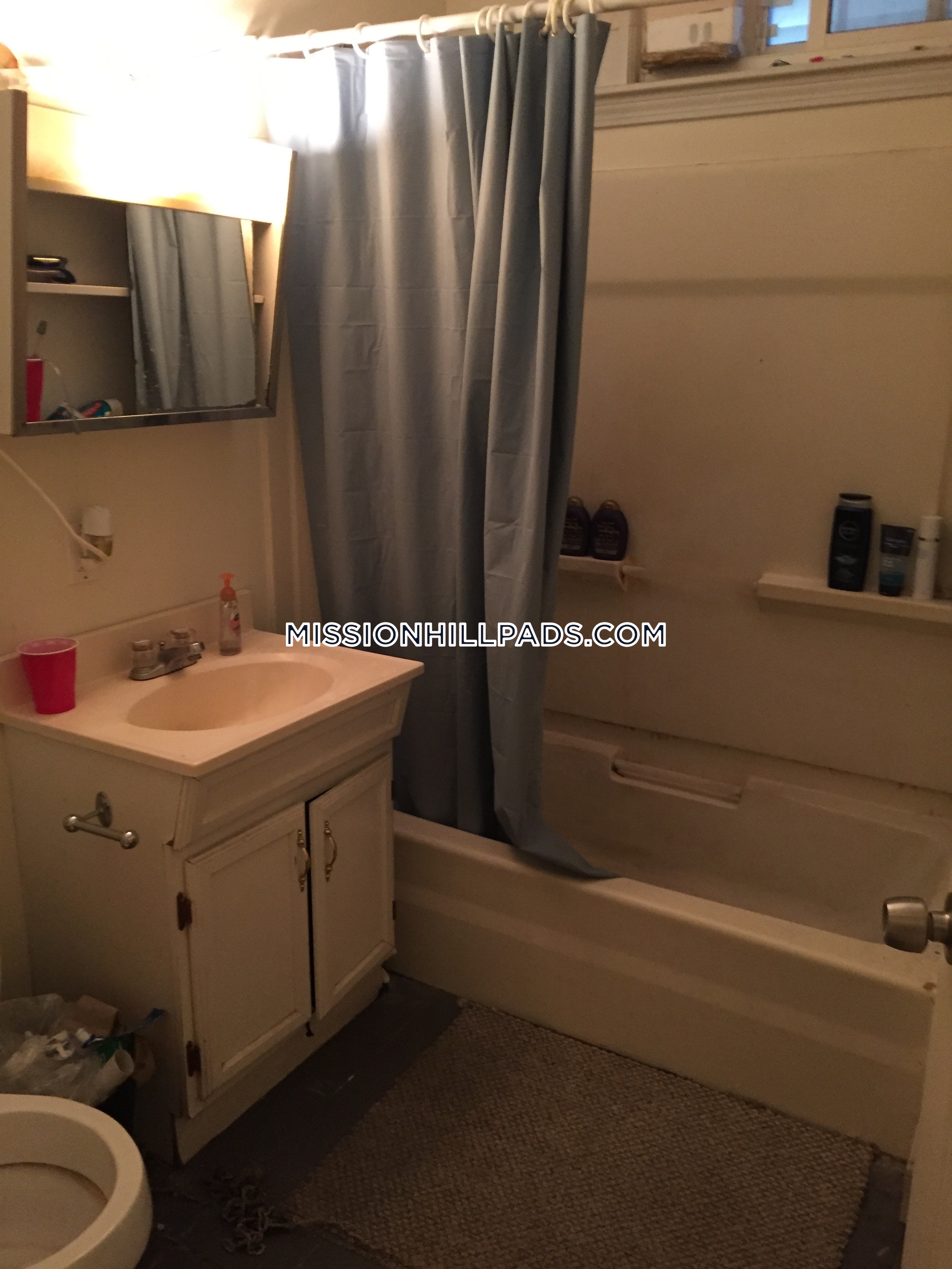 34 Darling St, Mission Hill