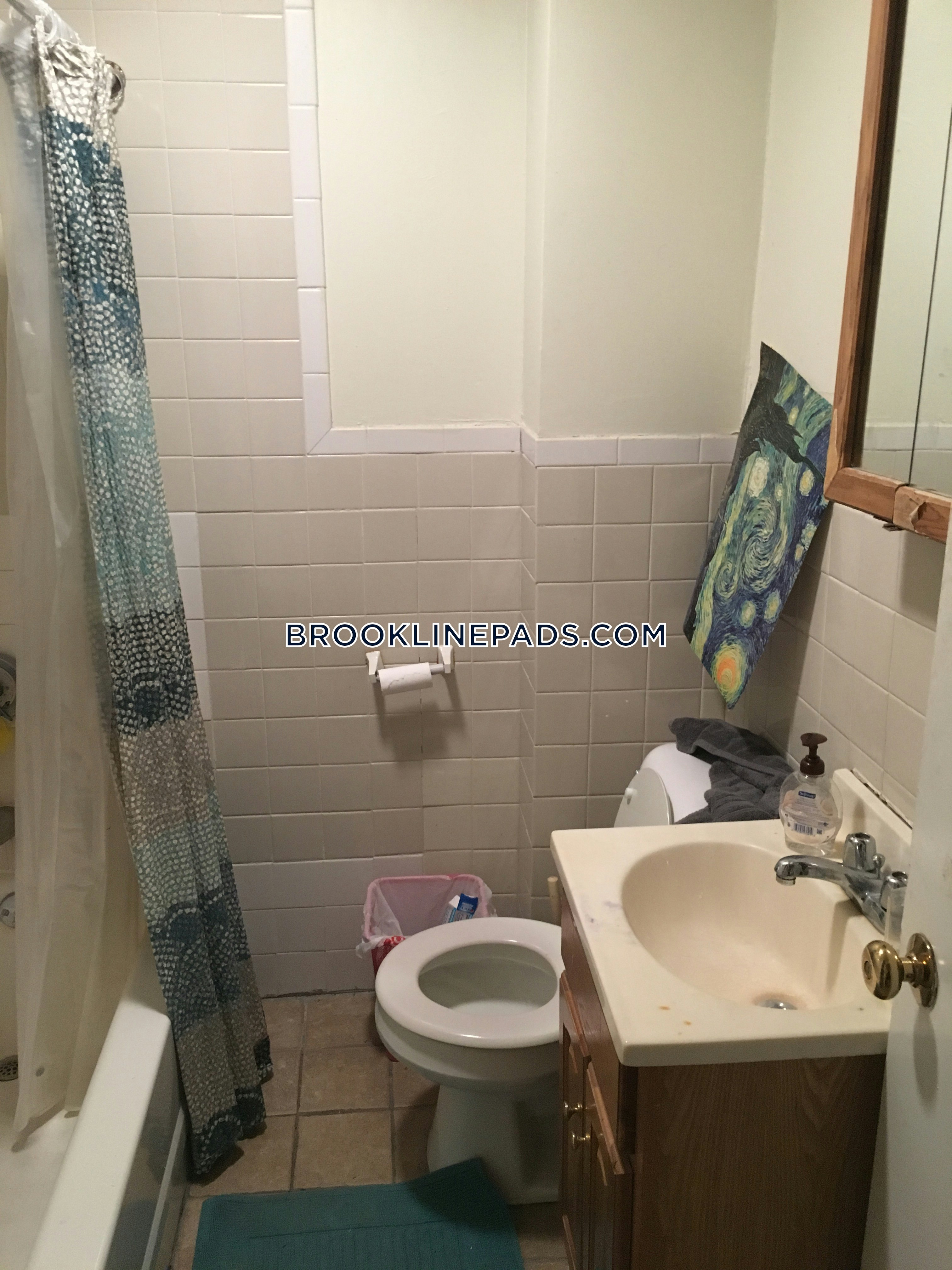 121 Brook St, Brookline Village