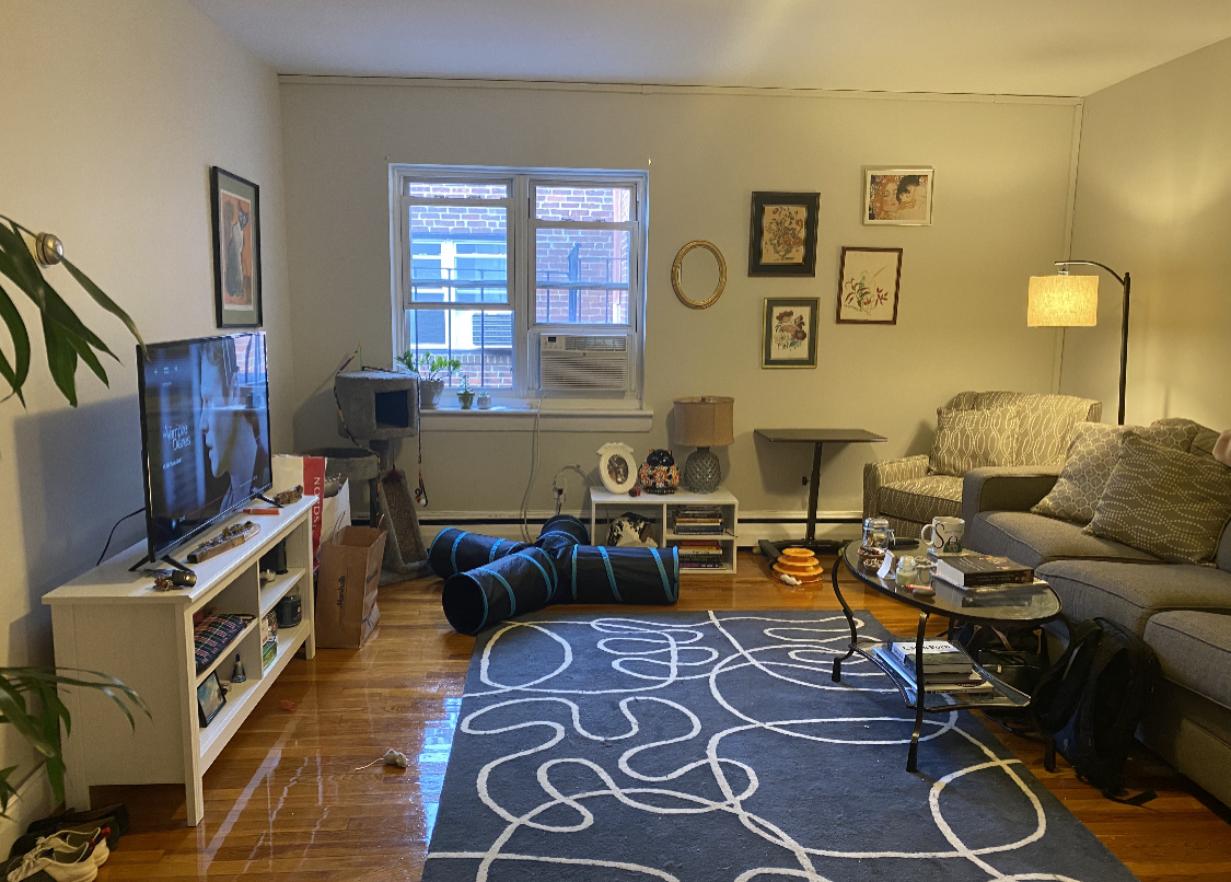 67 Chiswick Rd, Brighton