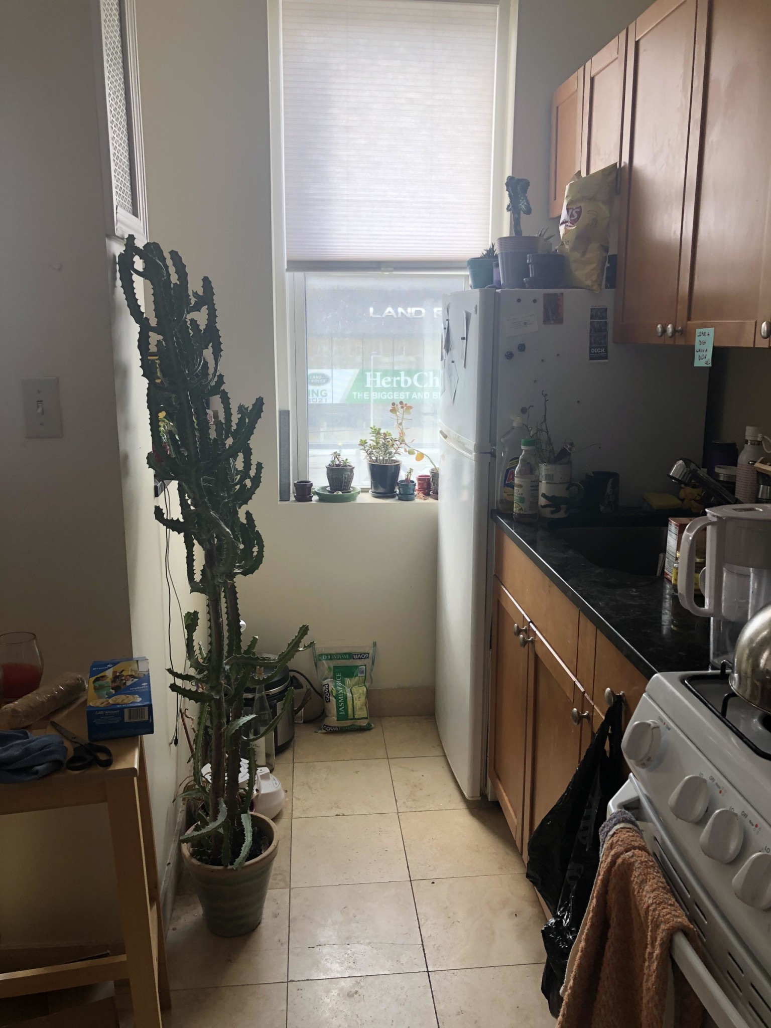 1189 Commonwealth Ave, Allston